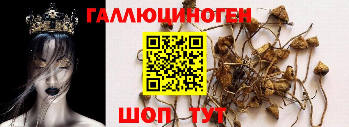 Кыштым  НБОМе  МДМА  Магазин наркотиков  Марихуана  Меф МЯУ МЯУ кристаллы  Вход с VPN  LSD-25  Кокаин  ГАШИШ  Гашиш 
