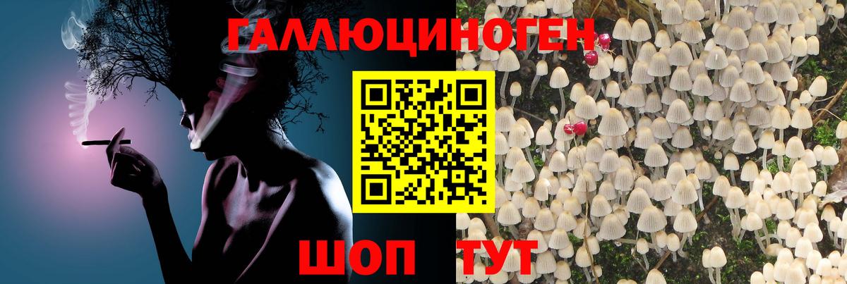 Кыштым  Галлюциногенные грибы MAGIC MUSHROOMS  Вход с VPN  Галлюциногенные грибы Cubensis 